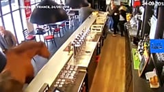 Chantilly: Was macht das Pferd in der Bar?
