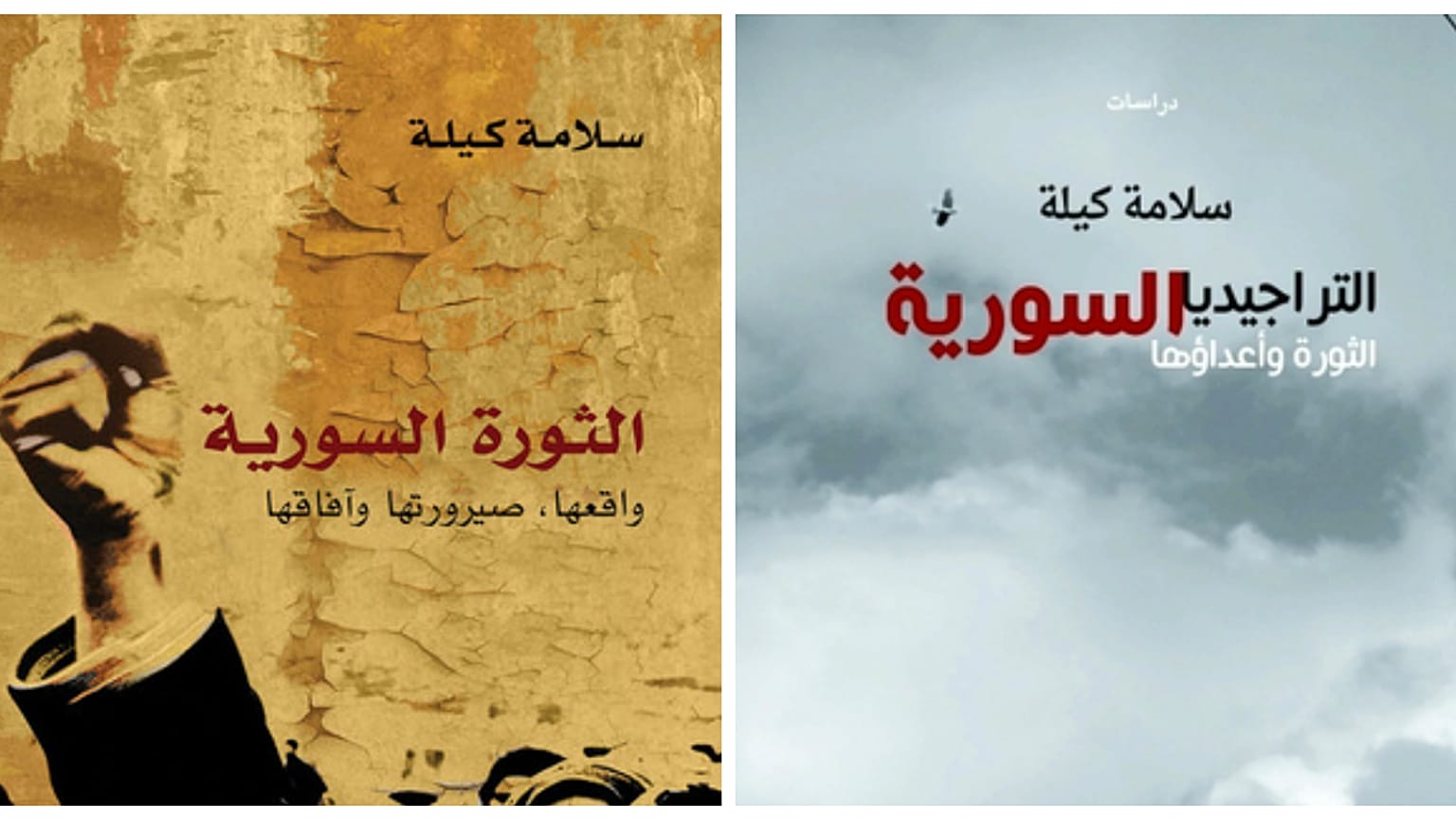 من أعمال سلامة كيلة 