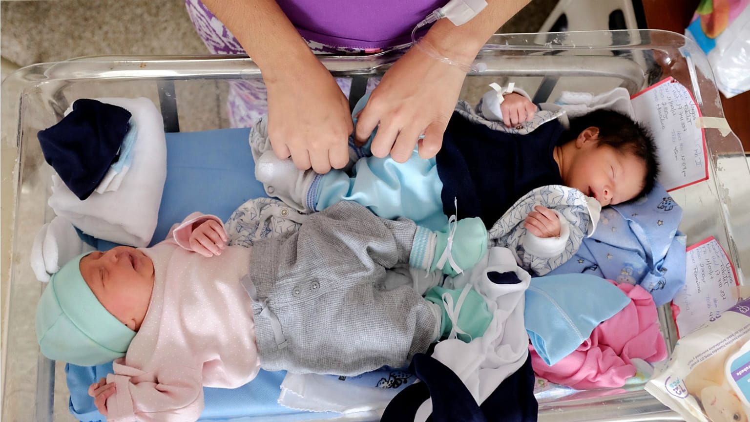 Ekonomik krizdeki Venezuela'da küvez yetersizliğine karşı 'kangru anne' çözümü