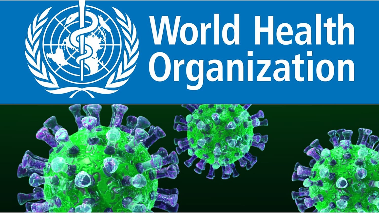 Middle East respiratory syndrome 3-D image/ Scinceside