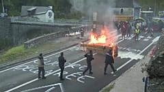 Francia libera una osa en los Pirineos
