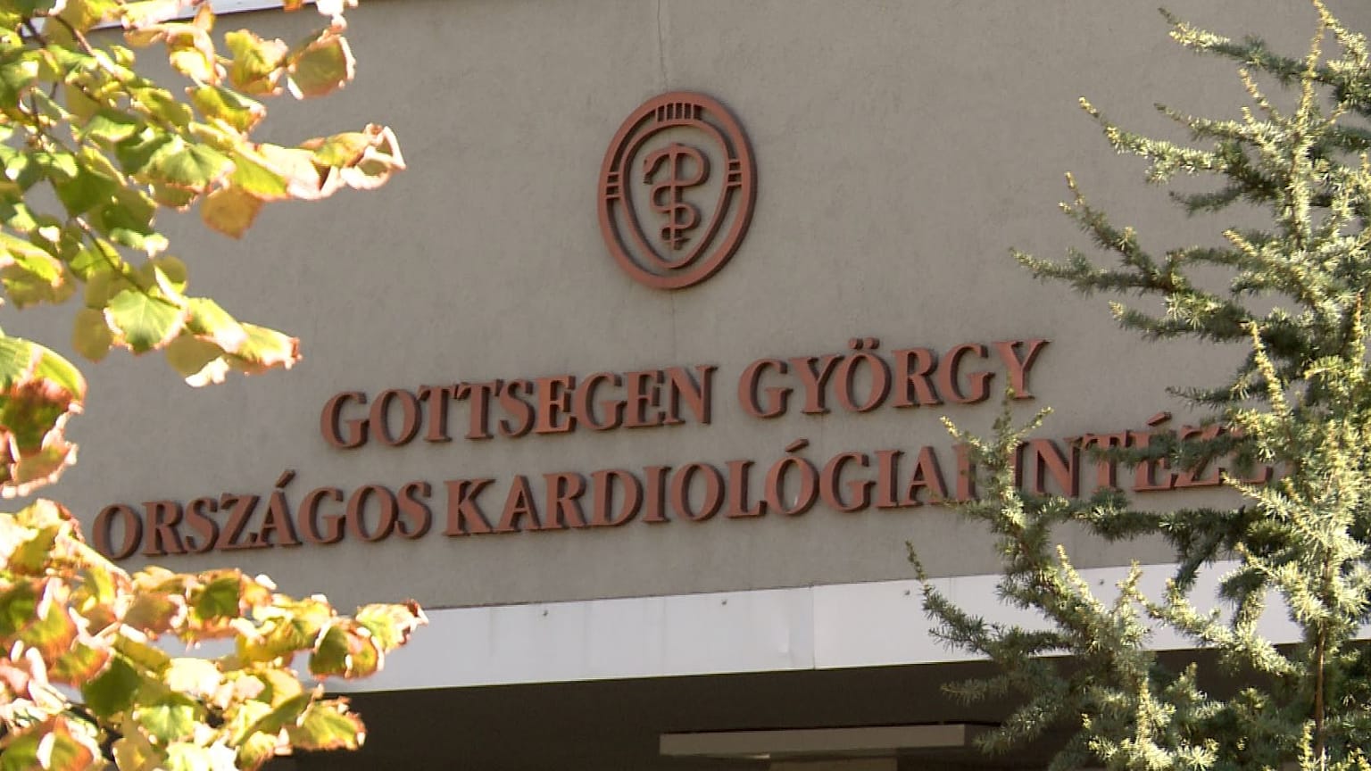 Etikai bejelentést tesz a GOKI az elbocsátott szívsebésze ellen