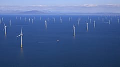Rüzgar enerjisi çevreye tahmin edilenden daha zararlı