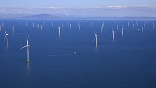 Rüzgar enerjisi çevreye tahmin edilenden daha zararlı