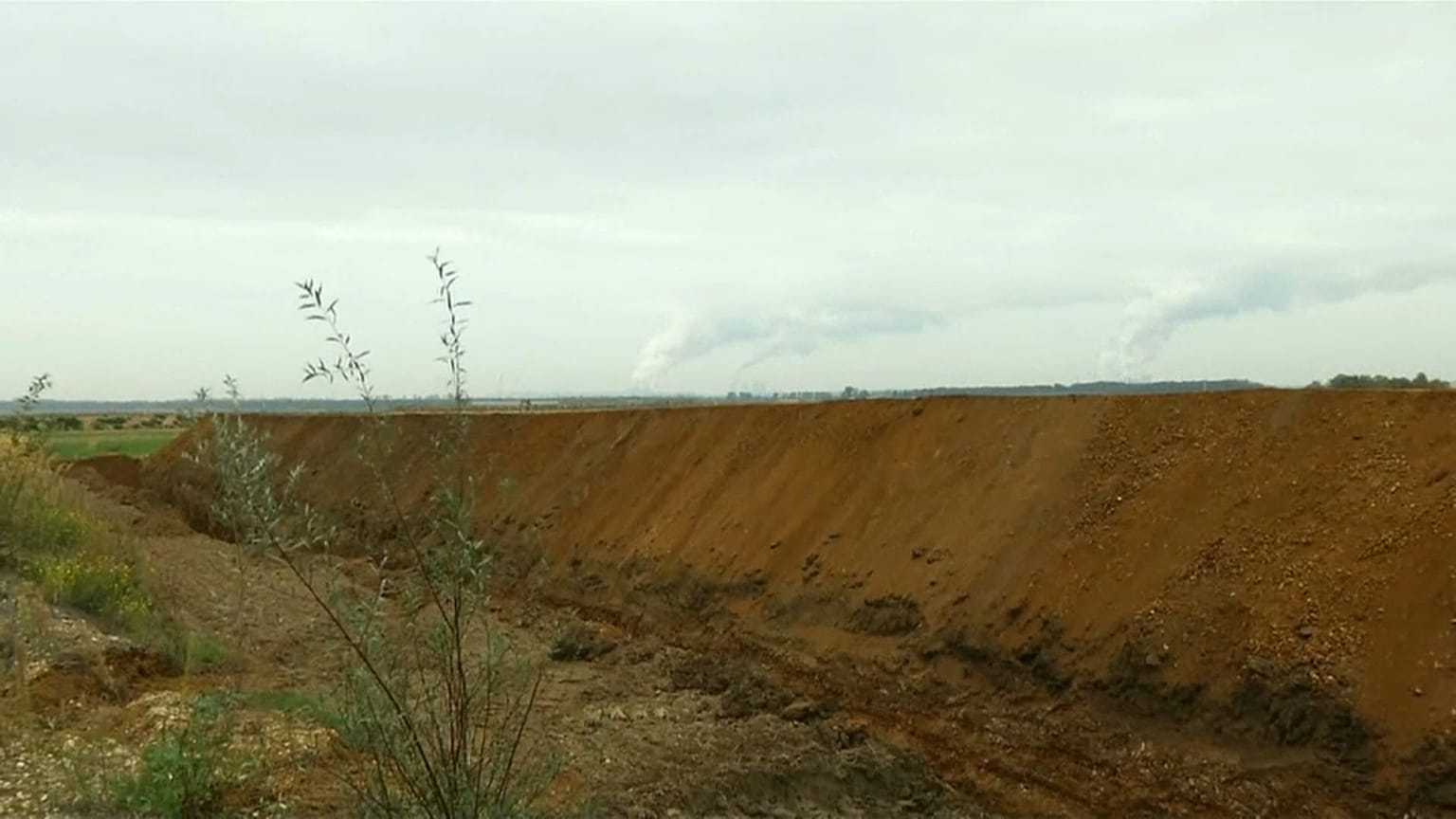 "Ein guter Tag für die Natur":  Hambacher Forst wird nicht gerodet
