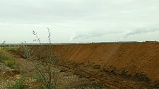 "Ein guter Tag für die Natur":  Hambacher Forst wird nicht gerodet