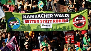 Freudenfeier und Protest bei größter Demo am Hambacher Forst: 10 Fotos und Tweets