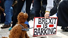 Getting philosophical on Brexit