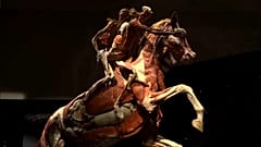Preserved human bodies on show in macabre London exhibition