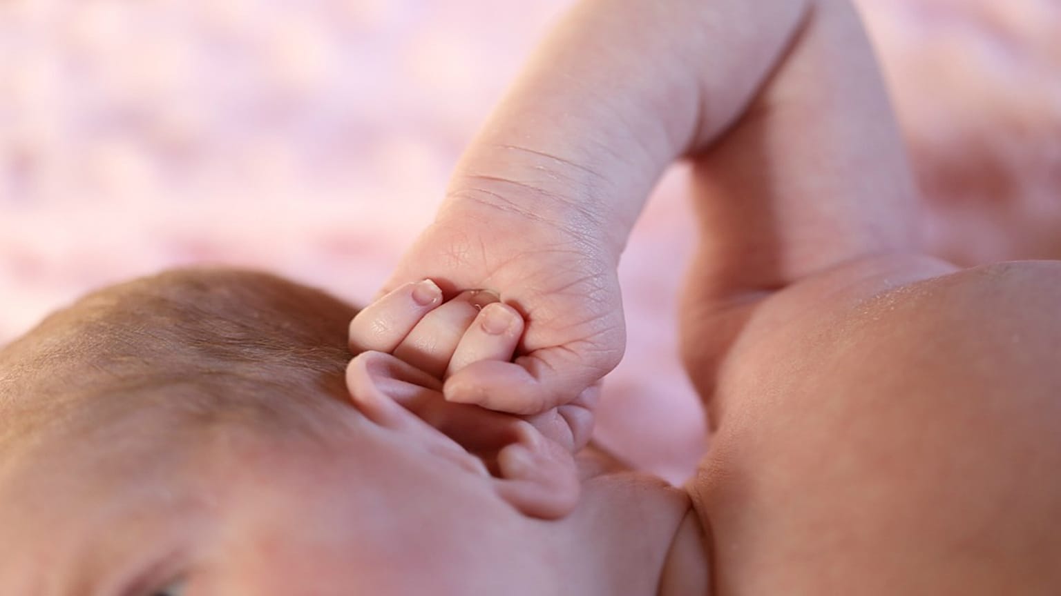 قلق في فرنسا بعد ولادة أطفال دون يد أو ذراع وأصابع الاتهام تُوجّه للمبيدات الحشرية