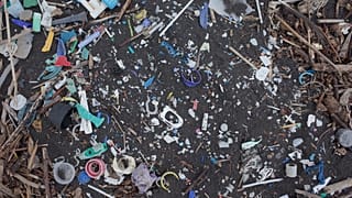 Plastic waste on remote South Atlantic islands ten times greater than a decade ago, research says