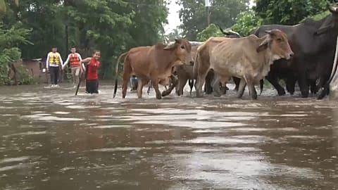 Las inundaciones en El Salvador provocan tres muertes