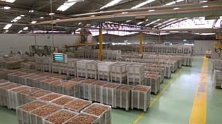 Importações portuguesas aumentaram 8,6% em agosto