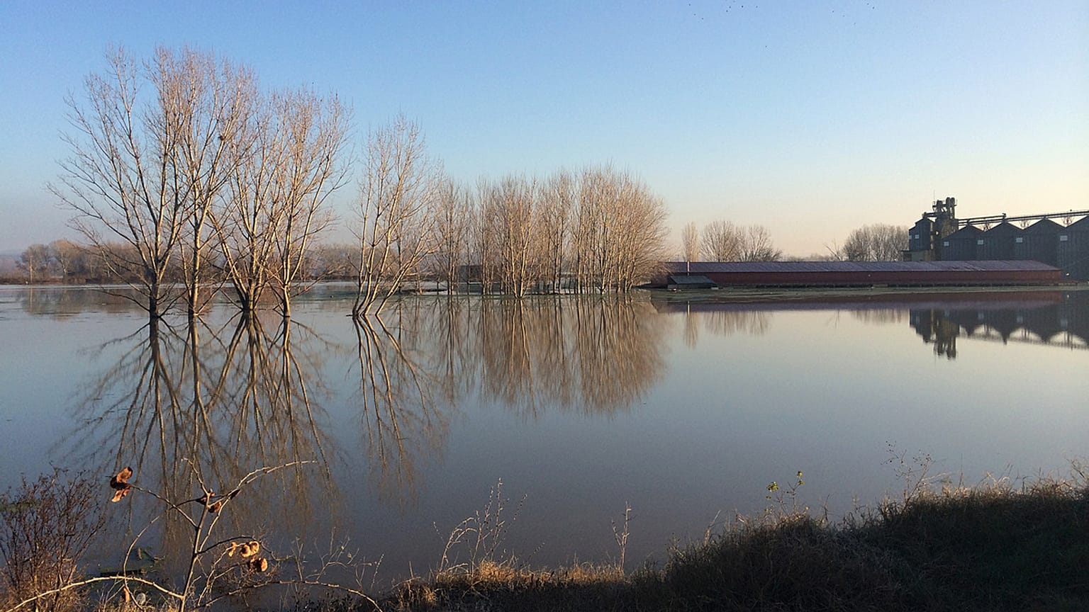 Meriç Nehri'nin Yunanistan kıyısında üç kadın cesedi bulundu