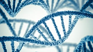 Kısırlığın genetiğini araştıran Türk bilimkadını: Yakında çözümler getirebileceğiz
