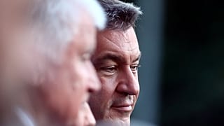 "Ich dachte, Seehofer und Söder wären mehr Profis" - Politologin Münch zur Bayernwahl (VIDEO)