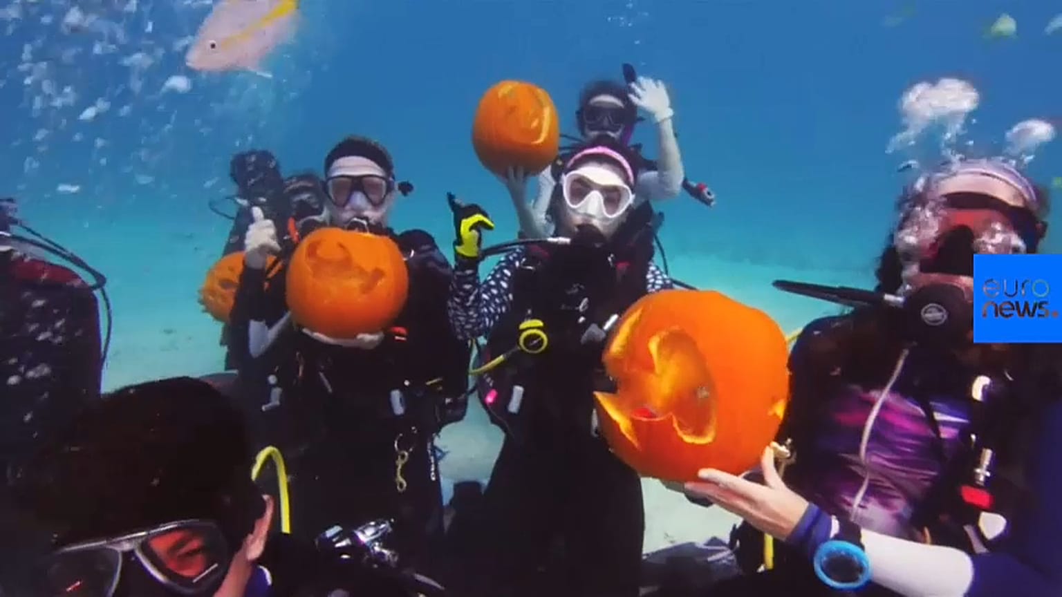Tous à l'eau pour Halloween !