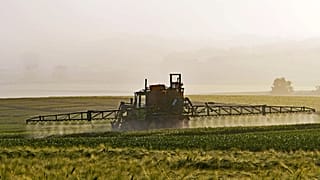 Which EU countries consume the most pesticides?
