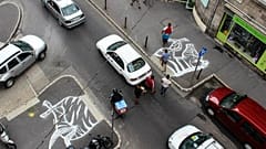 Activists paint zebra's head and tail near road in bid to get crossing