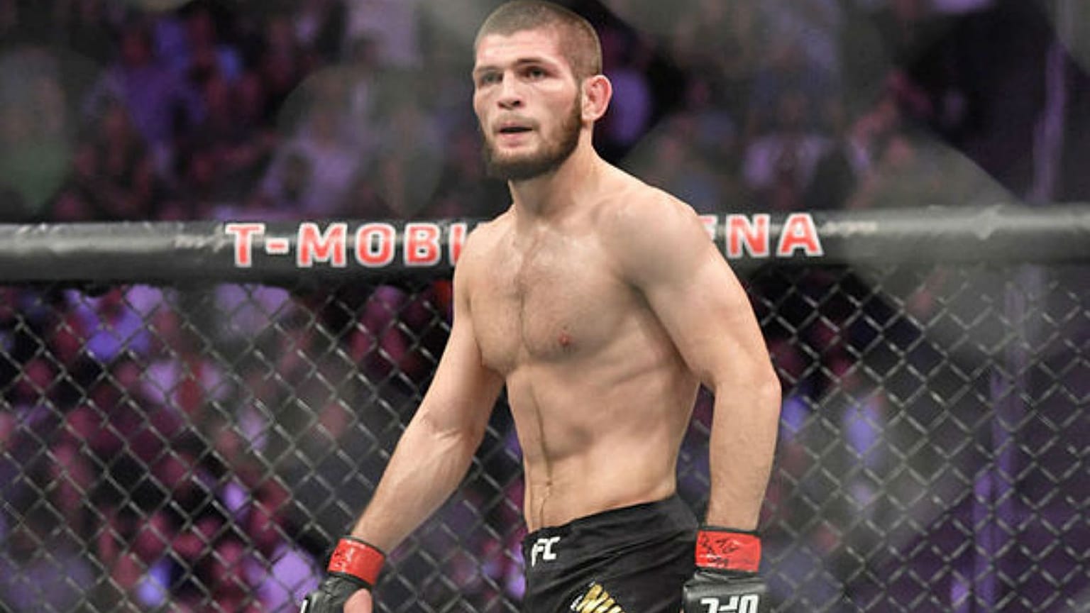 Khabib McGregor'un rövanş teklifini reddetti, boksör Mayweather'a meydan okudu