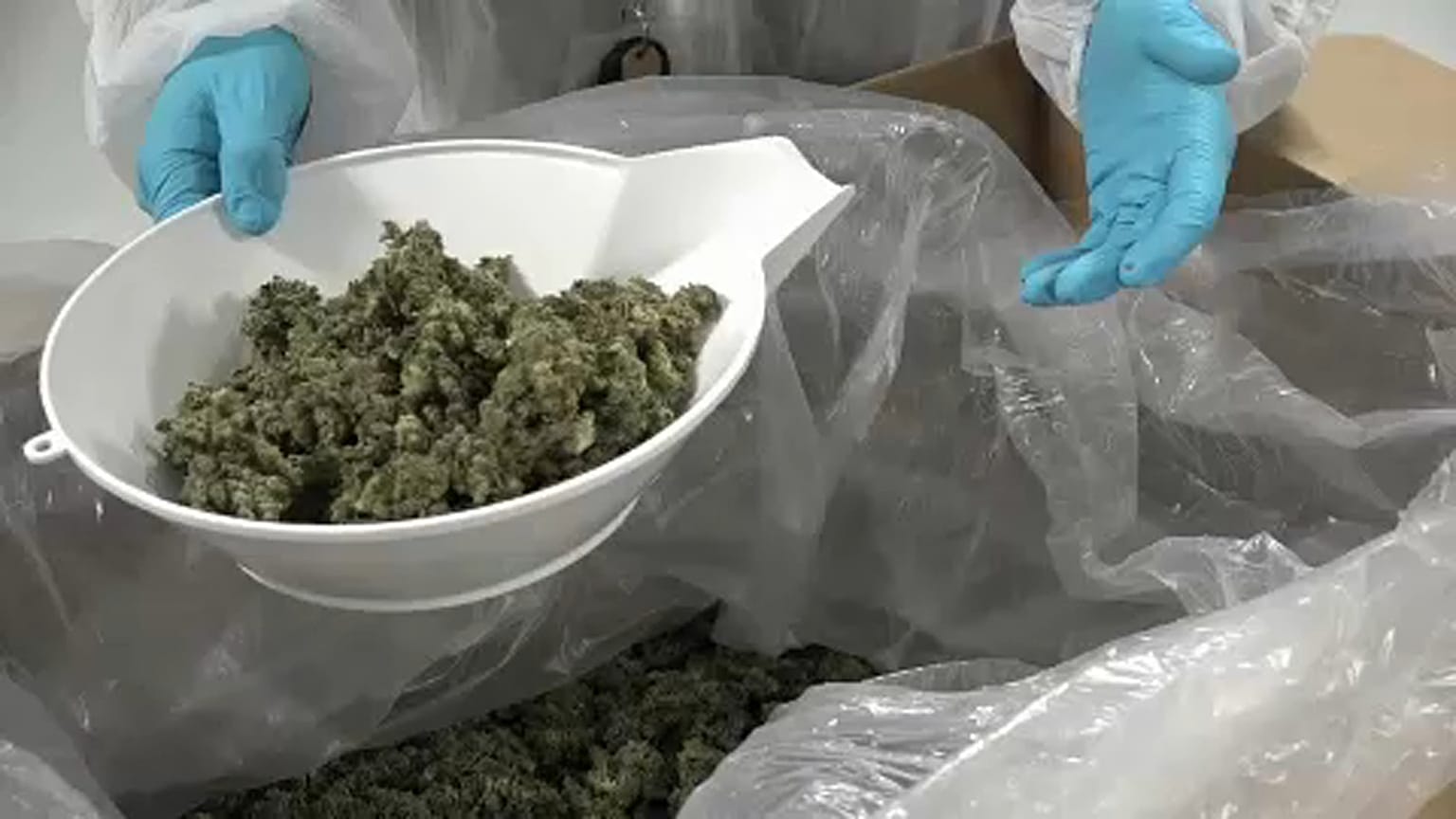Kanada legalizálta a marihuánát