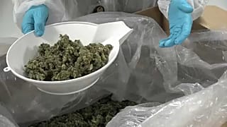 Kanada legalizálta a marihuánát