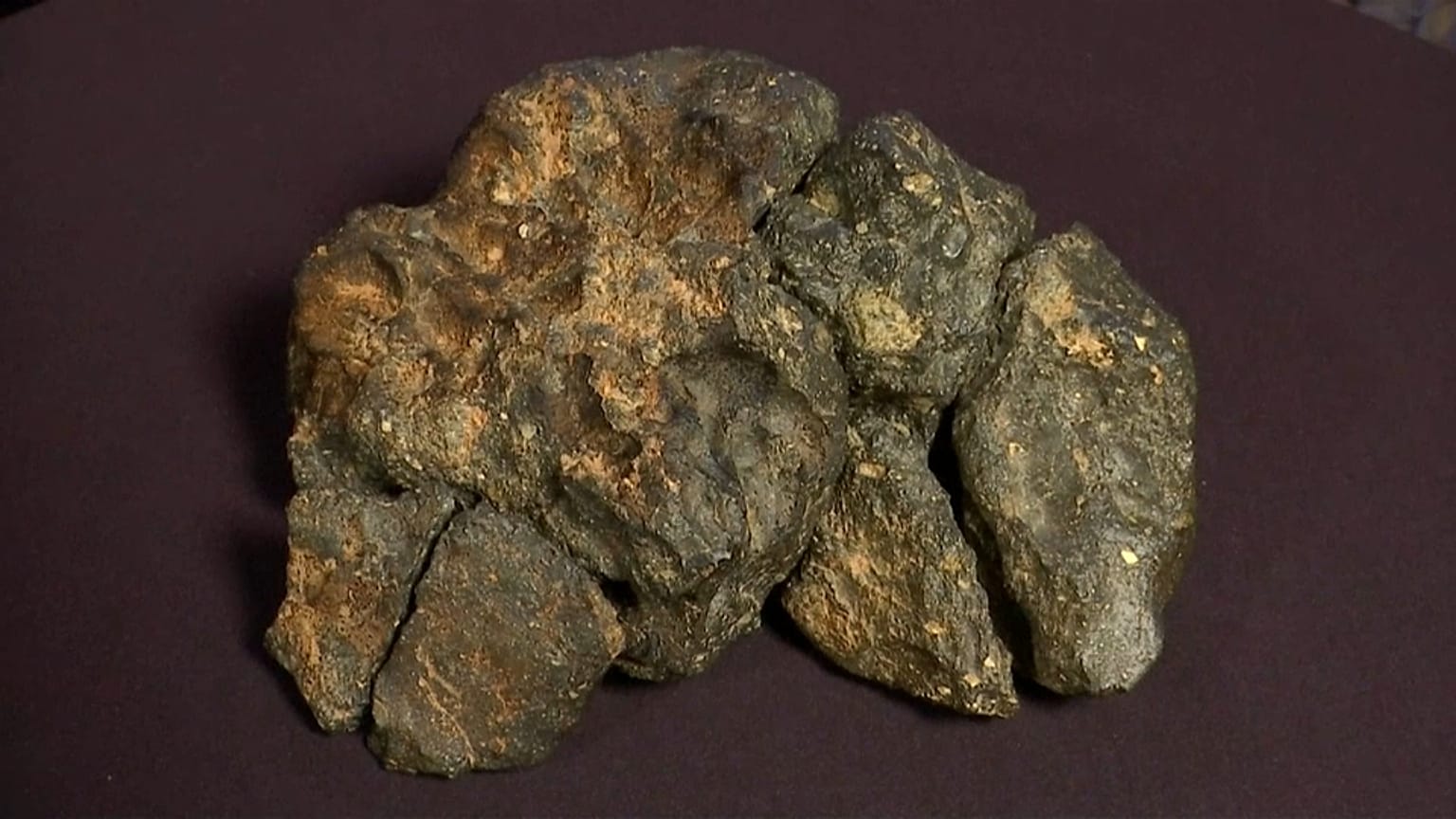 Meteorito lunar vai a leilão