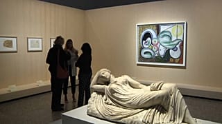 "Metamorfose de Picasso"
