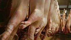 Schweinische Brexit-Folgen für Dänemark
