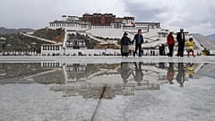 Esőerdő terült el a mai Tibet területén 40 millió éve