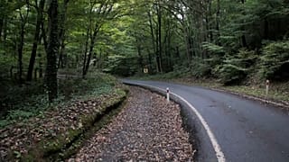 جست‌وجوی یک منطقه جنگلی و یک مزرعه برای یافتن «بقایای جسد خاشقجی»
