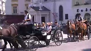 Száműznék a fiákereket Bécs belvárosából