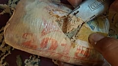 More than 55 tonnes of drugs seized in global Interpol operation
