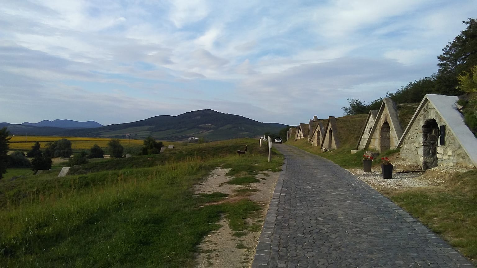 BORmedence: a Kárpát-medence borkultúrájának ünnepe