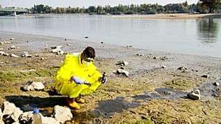Mérgek csorognak a Dunába Óbudán a Greenpeace szerint