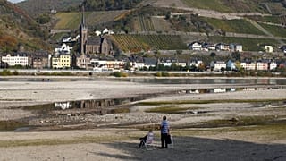 Wo ist er denn, der Rhein? Nur noch 13 cm Pegelstand bei Emmerich