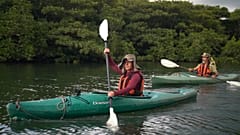 Okinawa-Inseln - ein Disneyland der Natur
