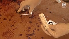 Керчь: дорога к массовому убийству