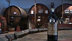 Adega de Sabrosa quer vinho oficial da viagem circum-navegação