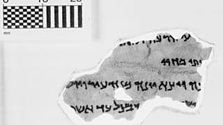 Museum's ancient biblical artefacts are fake, German researchers discover  | The Cube
