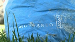 Glyphosate : amende moins salée pour Monsanto