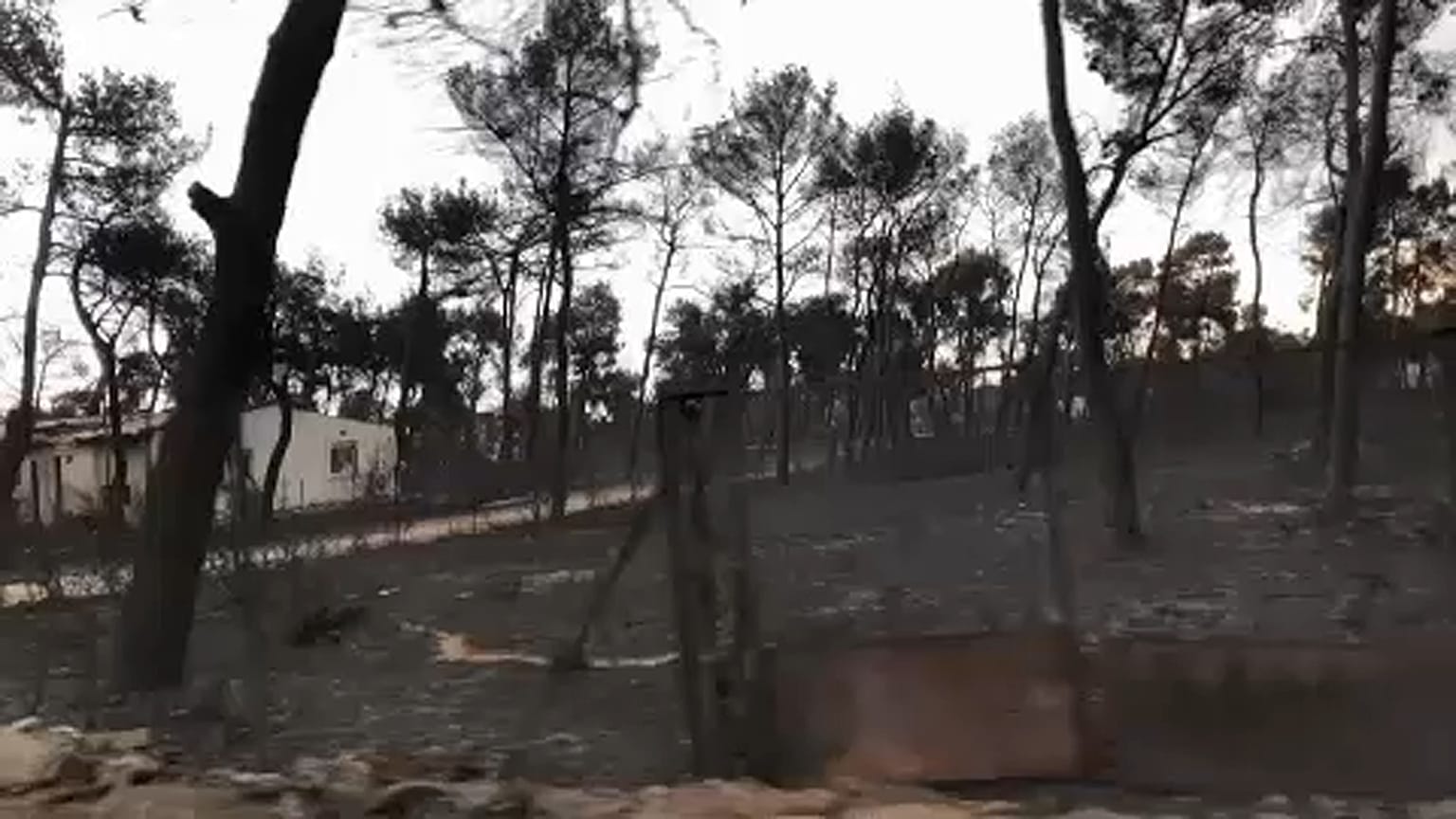 Incêndios na Grécia: voluntários da Cruz Vermelha fazem buscas