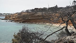 Incêndios na Grécia: Alexis Tsipras visita zonas afectadas