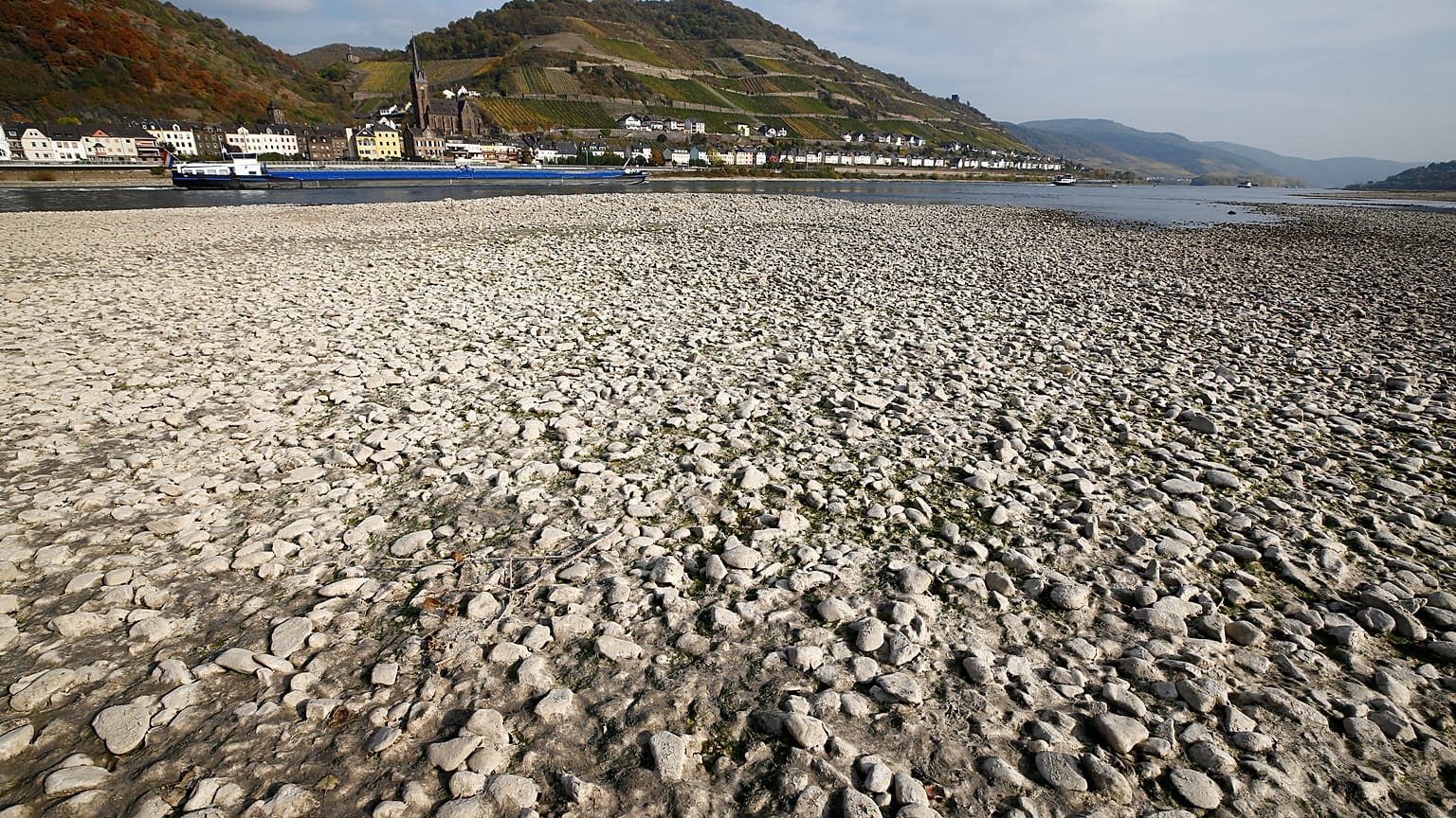 Hitzewelle in Deutschland: Wasserstand des Rheins sinkt weiter