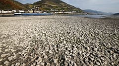 Hitzewelle in Deutschland: Wasserstand des Rheins sinkt weiter