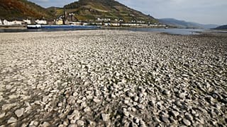 Hitzewelle in Deutschland: Wasserstand des Rheins sinkt weiter