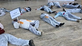 In Brief: Investimenti ING in olio di palma, protesta attivisti a Bruxelles