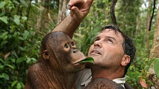 Todd Lemons' firm runs tropical wetlands and orangutan reserve Rimba Raya