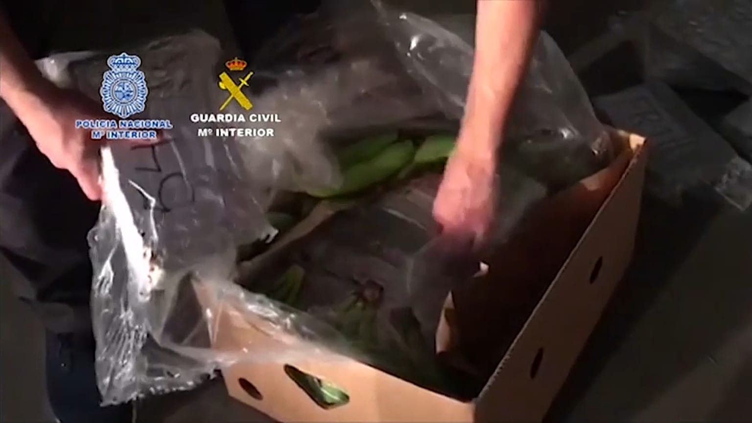 Spanien: Polizei findet 6 Tonnen Kokain in Bananen-Lieferung