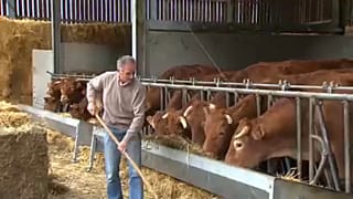 Menos antibióticos para el ganado europeo